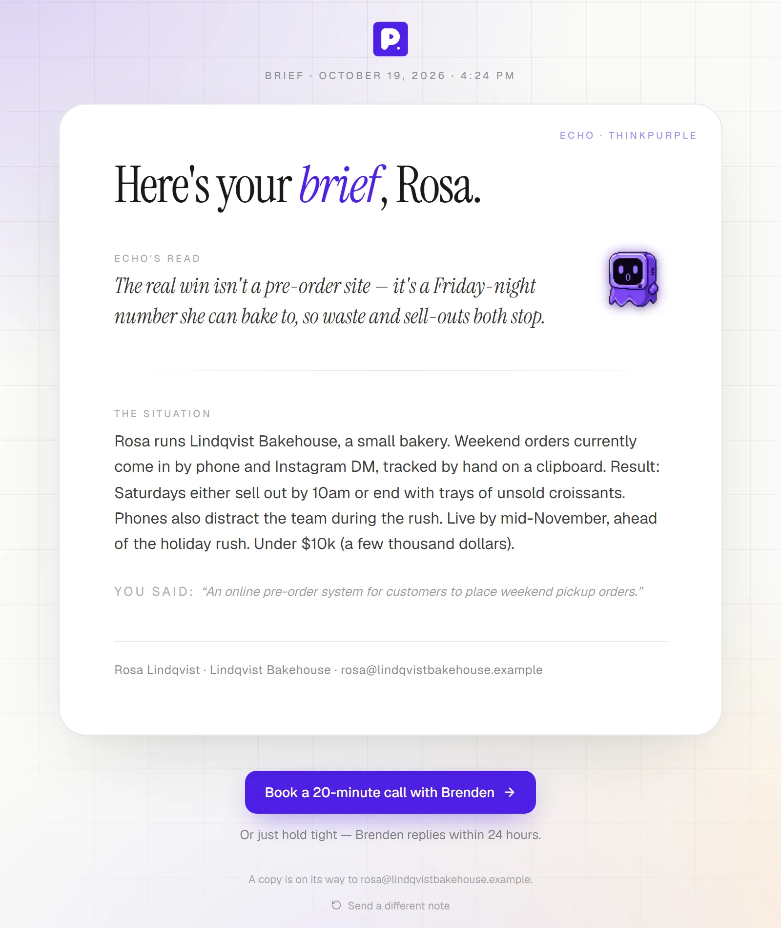 The visitor's brief: Echo's read, the situation in prose, and a button to book a 20-minute call.